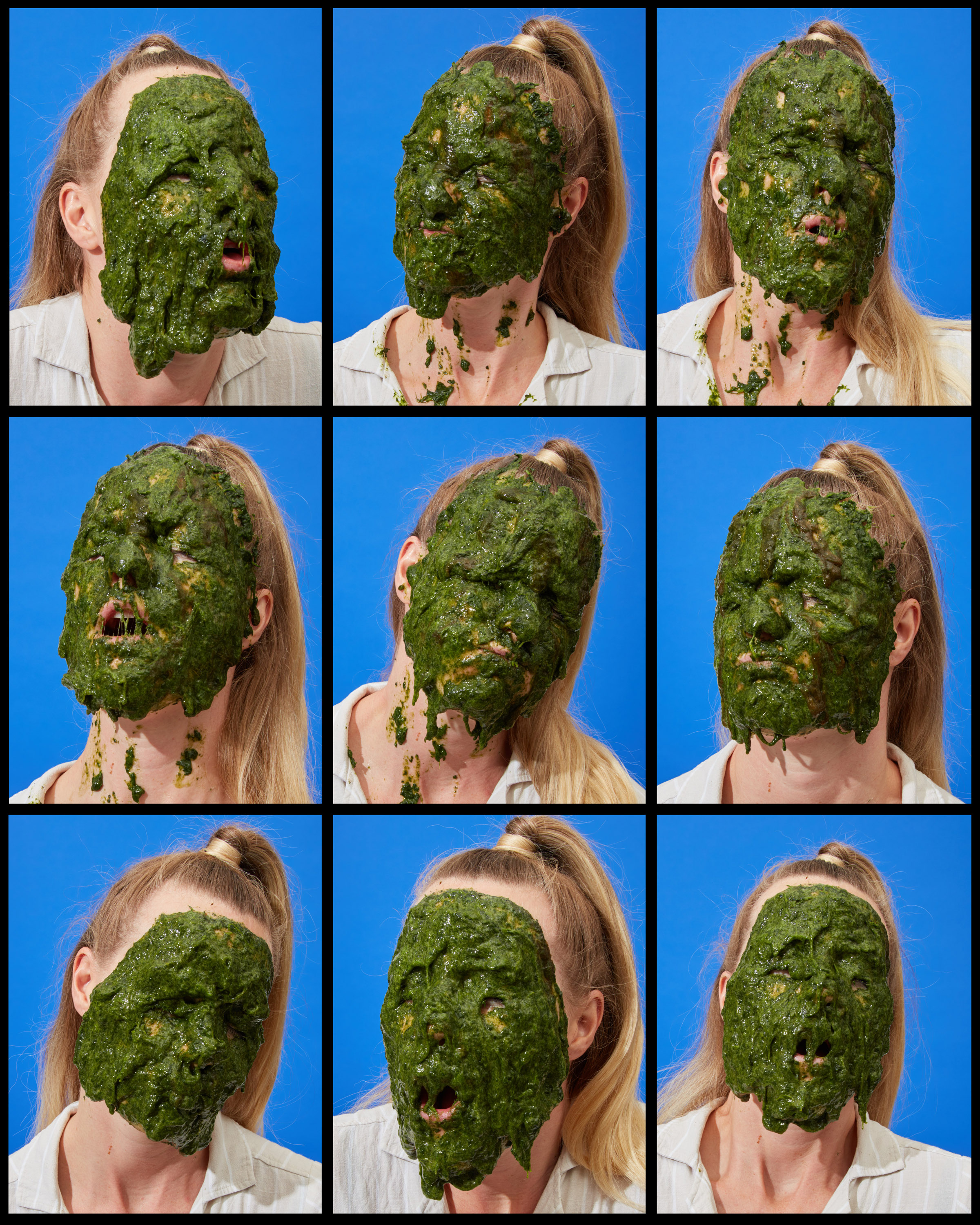 AlgaeContactSheet.JPG